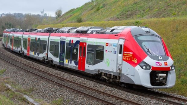 O călătoare, amendată de SNCF cu 110 euro pentru că pisica ei a mieunat prea tare în TGV Paris–Vannes