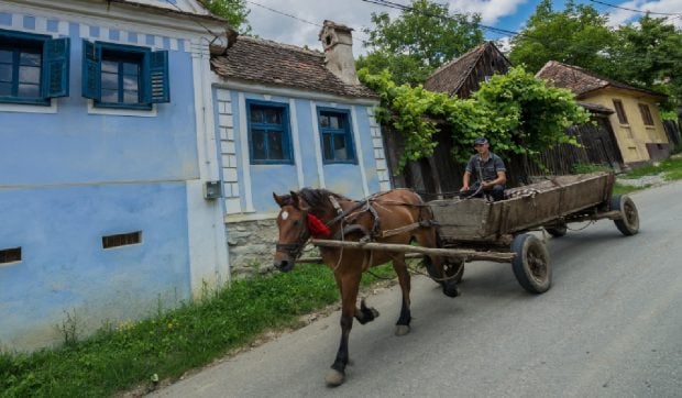 Căruțele fără „toaletă portabilă” pentru animale riscă amenzi de până la 1.000 de lei, dacă circulă în orașul Copșa Mică