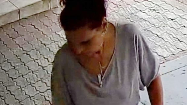 Femeia filmată în Găești când arunca mai mulți pisoi abia fătați în fața unei farmacii veterinare, găsită și amendată de polițiști