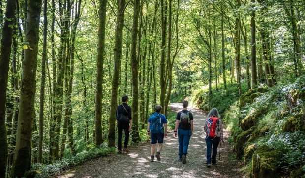 Pauzele de concentrare, secretul bunăstării mintale în natură nu înseamnă lene, ci necesitate.