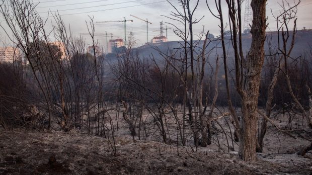 Un român a murit în incendiile de vegetație din Spania. Lucra la o fermă de cai care a ars din temelii