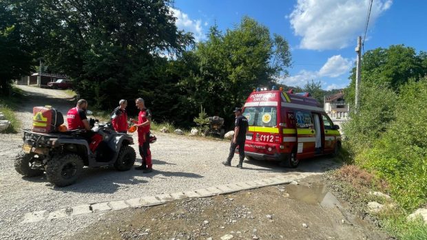 O fată a fost mușcată de câinii de stână din zona Piatra Mare, Brașov. Salvamontiștii spun că atacurile acestora s-au înmulțit