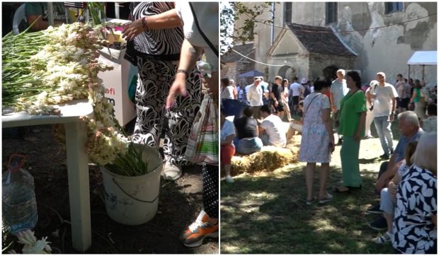Oamenii s-au îmbulzit să se îmbete cu mirosul florilor și să guste bunătățile bio: participare record la Festivalul Tuberozelor din Hoghilag, lângă Sibiu