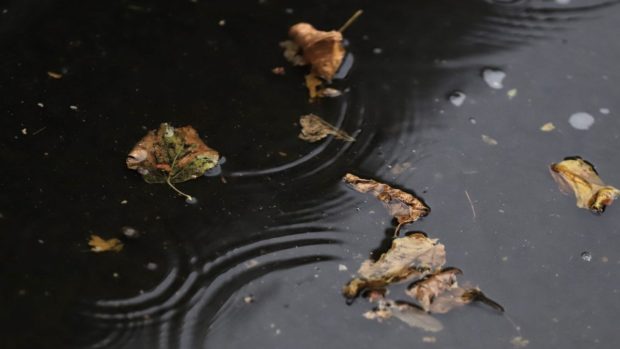 Florinela Georgescu, director ANM, anunță că temperaturile continuă să scadă. Când vine din nou căldura
