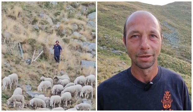 Cioban român filmat în munții Italiei, între oi și câini, și lăudat pentru că și-a găsit fericirea în lucruri pe care lumea modernă le-a uitat I VIDEO   