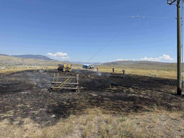 O pasăre de pradă a provocat un incendiu în Canada, după ce a scăpat din cioc un pește pe o linie de înaltă tensiune