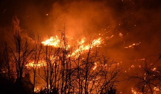 „Cocktail Molotov” climatic în Europa – caniculă extremă și incendii devastatoare în Spania, Franța, Italia. Un copil de 4 ani a murit în mașina părinților, în Sardinia
