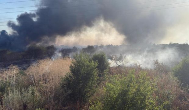 Mesaj Ro-Alert emis după ce un incendiu de vegetaţie a izbucnit în Clinceni, judeţul Ilfov