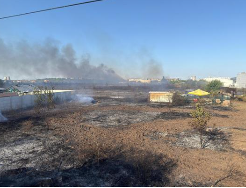 Mesaj Ro-Alert emis după ce un incendiu de vegetaţie a izbucnit în Clinceni, judeţul Ilfov