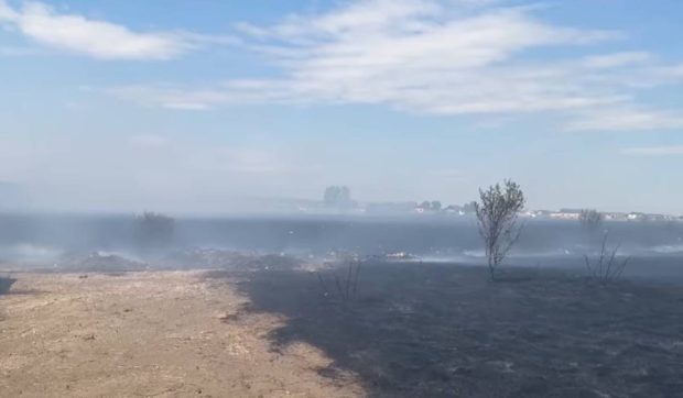 Incendiu puternic de vegetație la ieșirea din Craiova. A fost emis mesaj RO-Alert din cauza degajărilor mari de fum
