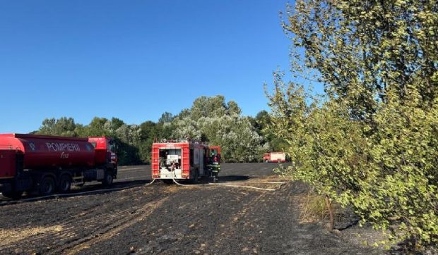 Incendiu puternic în Ilfov: ard două mașini, o casă și șapte hectare de vegetație uscată