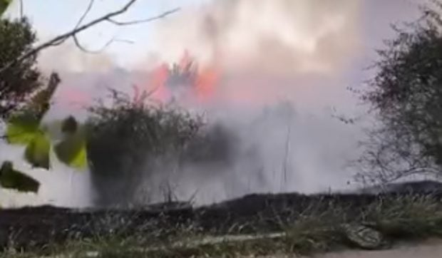 Incendiu puternic de vegetație în Galați. Un cartier de locuințe este în pericol I VIDEO