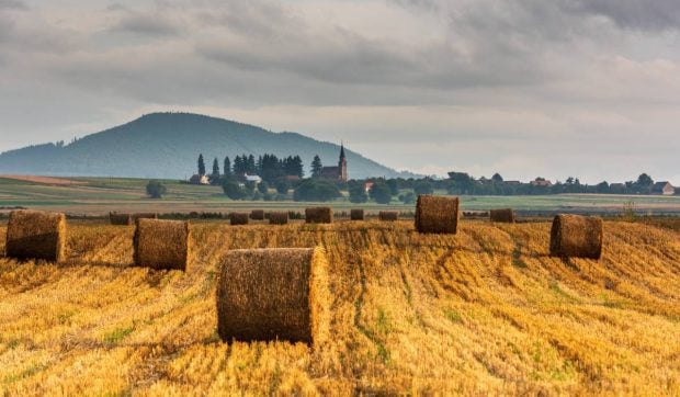 Cum va fi vremea în următoarele 4 săptămâni, în România. Meteorologii anunță temperaturi peste valorile normale în perioada 11 august – 8 septembrie