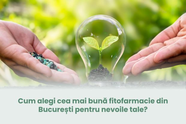 Cum alegi cea mai bună fitofarmacie din București pentru nevoile tale?