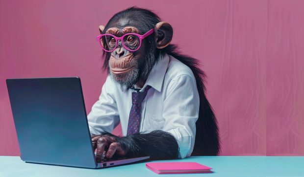 Inginerii din China au creat un computer care poate gândi ca o maimuță. Ce este „Darwin Monkey” și cum funcționează 