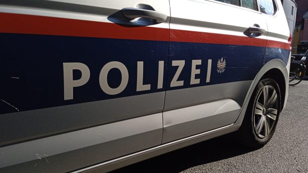 Copilul de 8 ani al unui șofer român a murit într-un accident provocat chiar de tatăl lui, pe o șosea din Austria