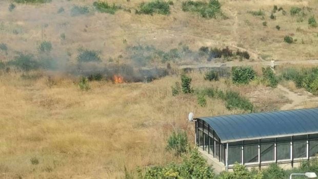 Un nou incendiu de vegetație în Parcul IOR. Locuitorii zonei susțin că ar fi vorba de distrugere premeditată | Video