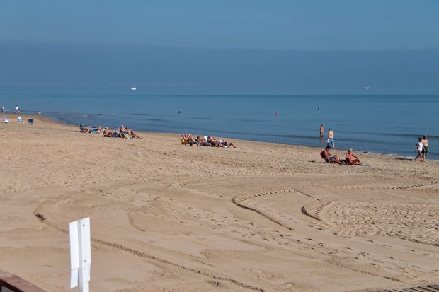 Două creaturi de 3 centimetri lungime au închis toate plajele dintr-un oraș spaniol