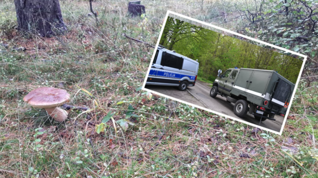 Un culegător de ciuperci a făcut o descoperire neașteptată și a sunat imediat la 112