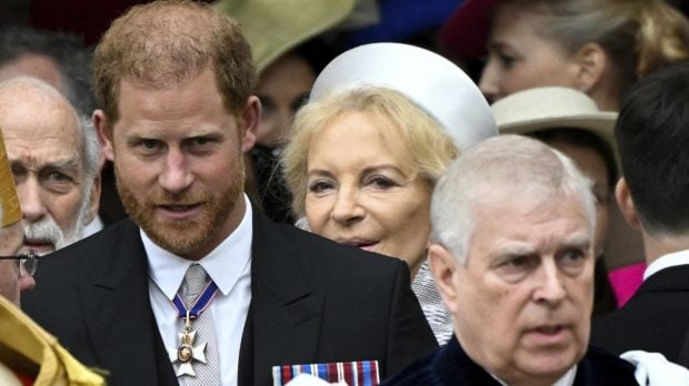 Prințul Andrew și Harry, s-au bătut la o reuniune de familie, susține o nouă carte
