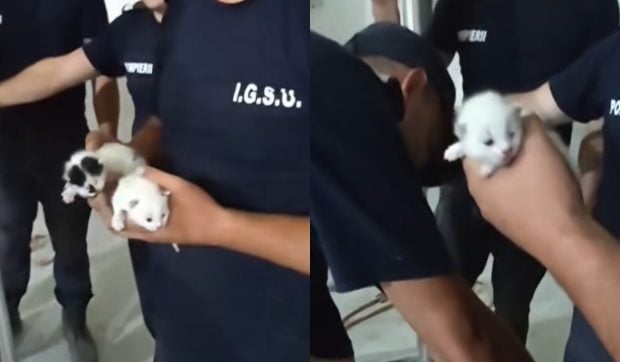 Două ghemotoace pufoase care încăpeau perfect în buzunarul uniformei au fost salvate de pompieri în Broșteni | VIDEO