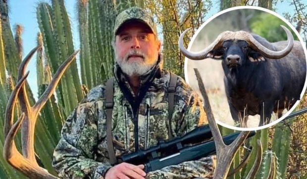 Vânător milionar american, omorât după ce un bivol și-a înfipt coarnele în el cu 50 km/h
