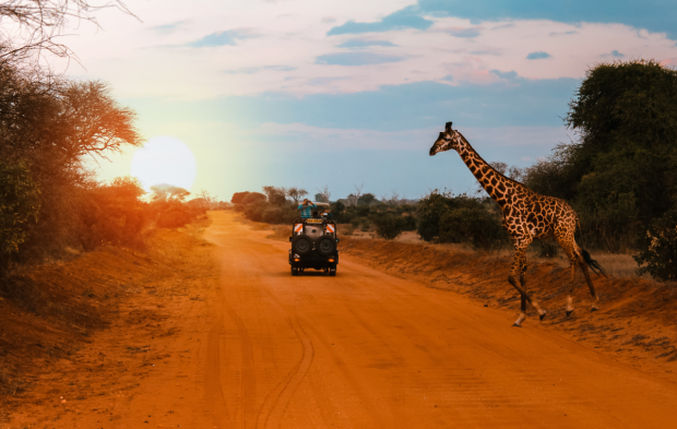 Safari în Kenya și sejur în Zanzibar – O aventură completă