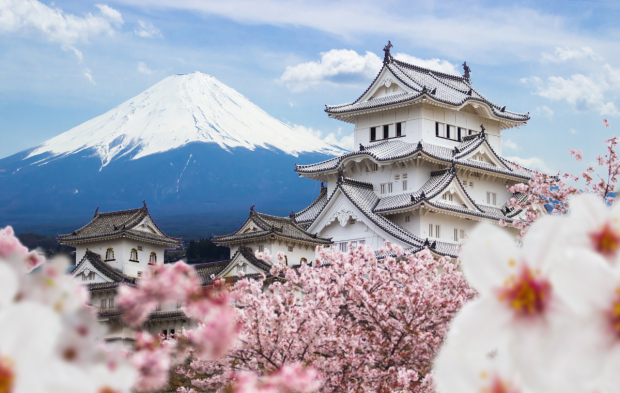 Japonia și fabuloasa Sărbătoare a cireșilor înfloriți