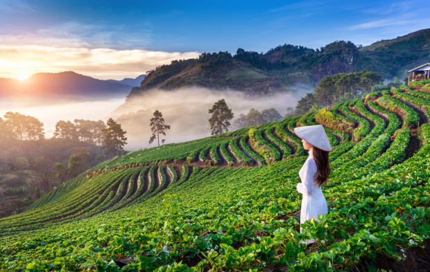 Circuit în Vietnam, Cambodgia și Thailanda: Aventură completă în inima Indochinei