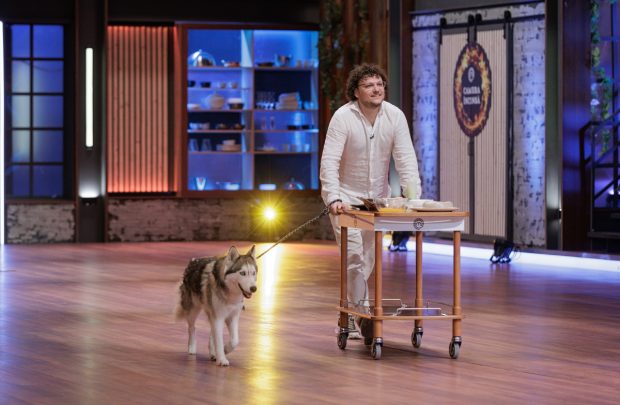 Imagine Stire Moment neașteptat la MasterChef 2025. Câinele unui concurent va da verdictul înaintea chefilor: „Nu mai gustăm! Dacă mâncarea ta nu o mănâncă nici câinii…” | 2review.ro