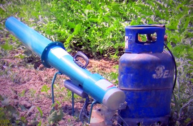 Tunuri chinezești pe butelii de gaz și momâi din cârpe: cum se bat fermierii din Brăila cu ciorile care le atacă recolta