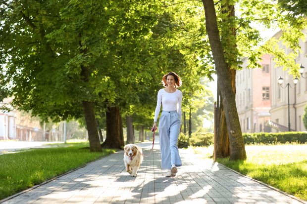 Un oraș din Italia introduce taxa turistică pentru câini: 1,5 euro pe zi începând din 2026, testul ADN obligatoriu dispare