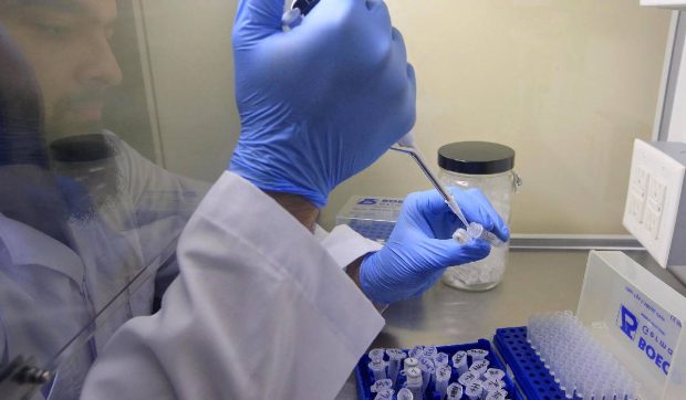 Bacteria Serratia: cât de periculoasă este și ce tratament există