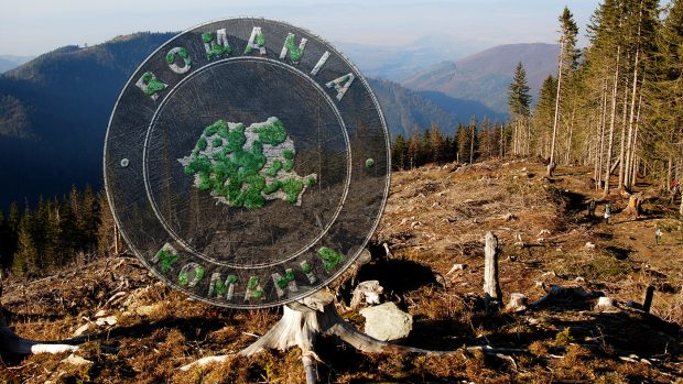 România a pierdut 453.000 de hectare de pădure în 20 de ani. Suceava este polul exploatării lemnului