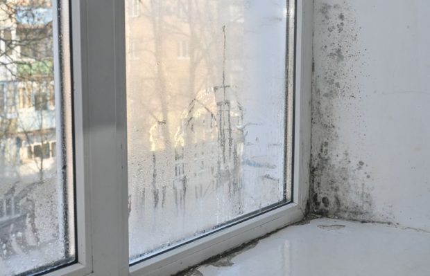 12 metode ca să elimini umezeala din casă