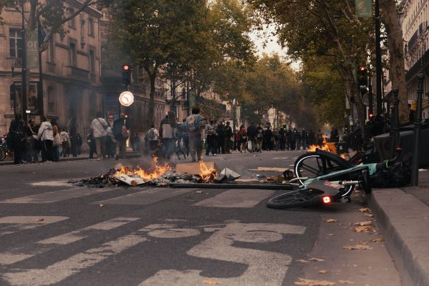 Lingușirea puterii devine violentă. Bișonii români și lătrăturile la China sau Franța 