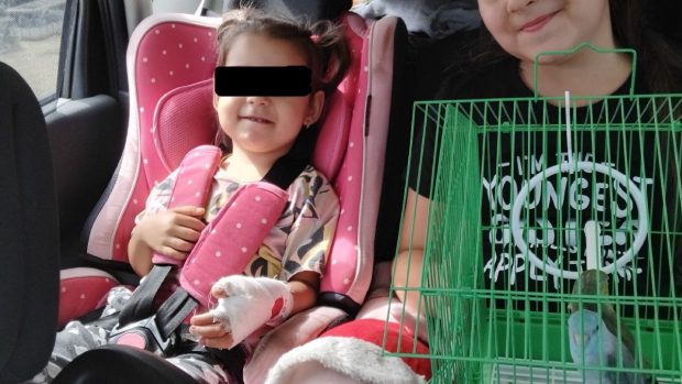Mama fetiței mușcate de maimuță la Zoo Suceava, revoltată: „Un prim ajutor nu am primit, un plasture, o cană de apă…”