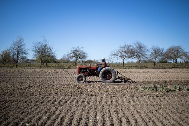 Fermierii să poată recupera 50% din investiţii pe o perioadă de 10 ani, fără plata de taxe şi impozite locale la buget: pachetul PSD pentru agricultură