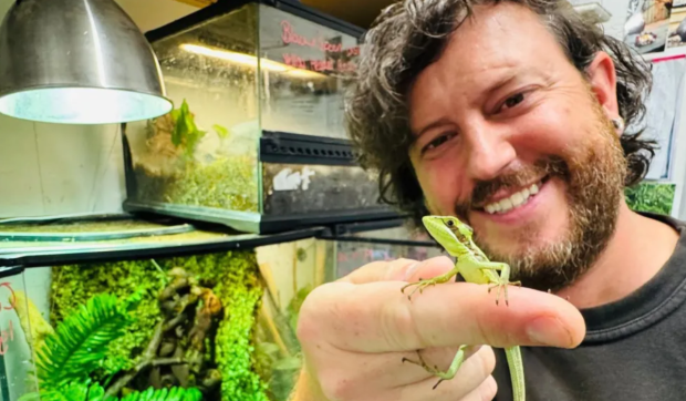 Opt iguane fără tată au eclozat la o grădină zoologică: micile șopârle sunt niște clone ale mamei lor