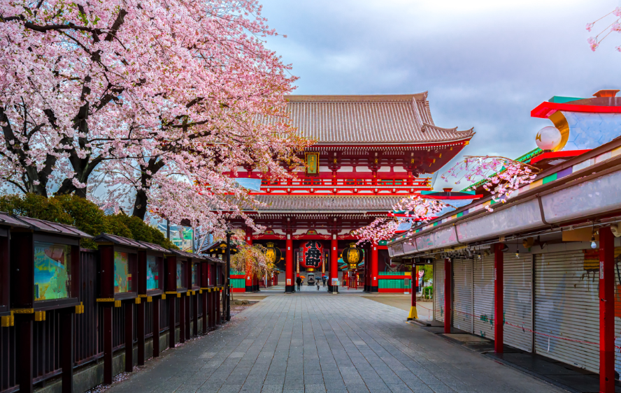 Japonia și fabuloasa Sărbătoare a cireșilor înfloriți