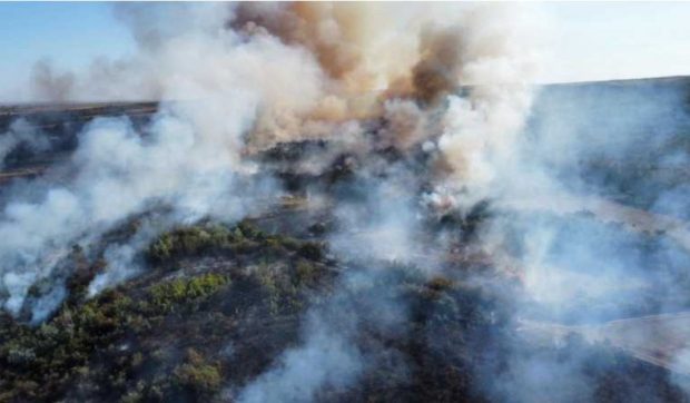Aproape 80 de hectare de teren au ars în Buzău, după ce un incendiu de vegetație a scăpat de sub control. Focul a fost provocat | VIDEO