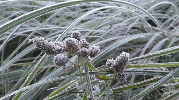 Locul din România unde temperatura a scăzut la sub -6 grade Celsius înainte de începutul lunii octombrie