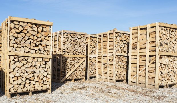 Lemne de foc mai scumpe în toată țara: cât plătesc românii pe metrul cub în 2025
