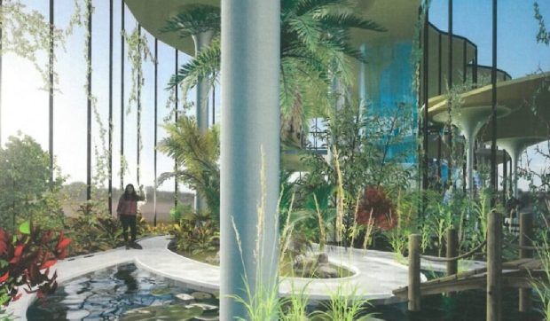 Primăria Craiova cheltuie 1,6 milioane € pe o seră tropicală la Grădina Botanică, în timp Guvernul taie din bugete