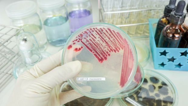 (P) Infecțiile spitalicești nu trebuie să mai ucidă: apel pentru implementarea tehnologiilor moderne în România