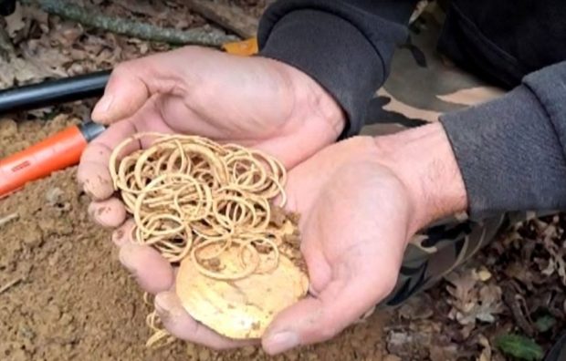 Tezaur de aur vechi de peste 3.000 de ani, găsit la Cluj de un vânător de comori cu un simplu detector de metale