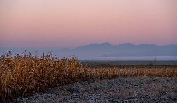 A fost înregistrată cea mai scăzută temperatură din țară, la Miercurea Ciuc