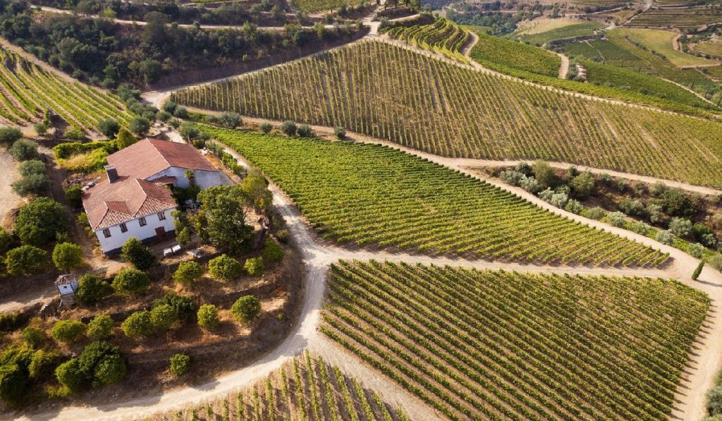 Casă de țară în Sao Joao da Pesqueira, Valea Douro, Portugalia
