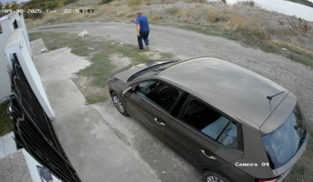 Amendă de 7000 de lei pentru un bărbat care a tras cu un pistol cu bile în câinele vecinilor, la Constanța