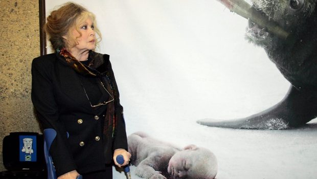 Brigitte Bardot a fost externată după 3 săptămâni și s-a întors acasă, la Madrague: „Vigilență legitimă având în vedere vârsta”